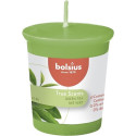 Bolsius  geurvotive green tea