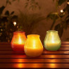 True Citronella Patiolight