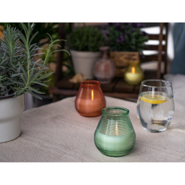 True Citronella Patiolight