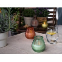 True Citronella Patiolight