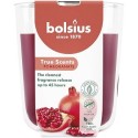 Geurglas Treu Sents pomegranate